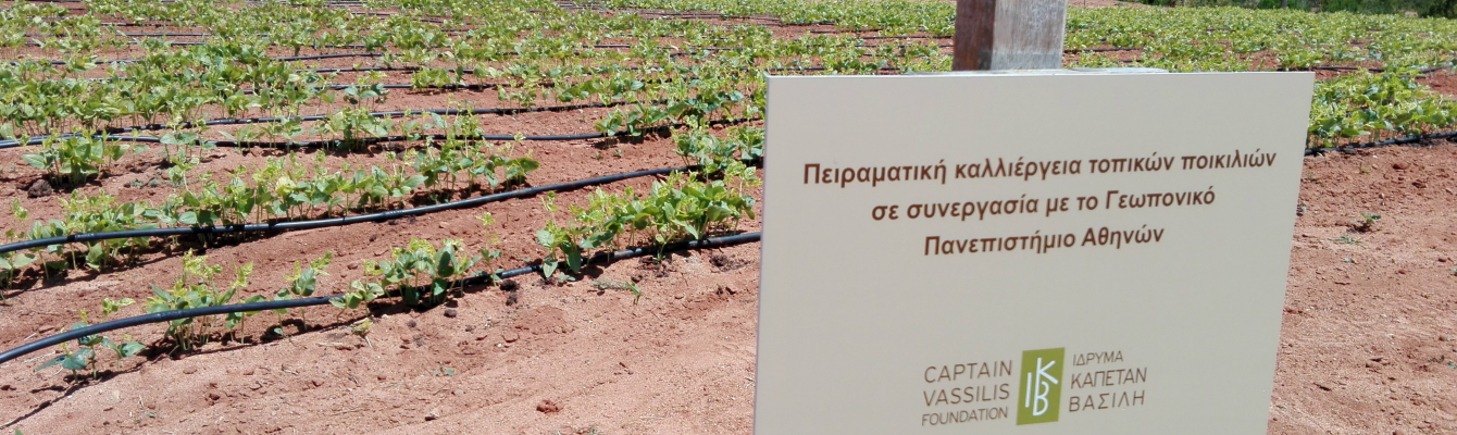 Collection and recording of local varieties in the prefecture of Messinia