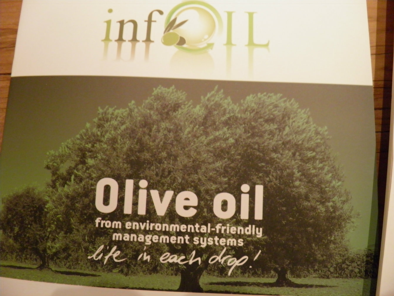 Olive oil taste seminar