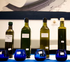 Olive oil tasting educational seminars